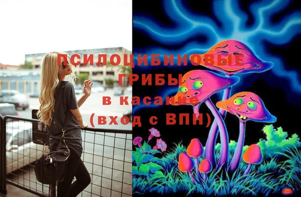 мдпв Баксан